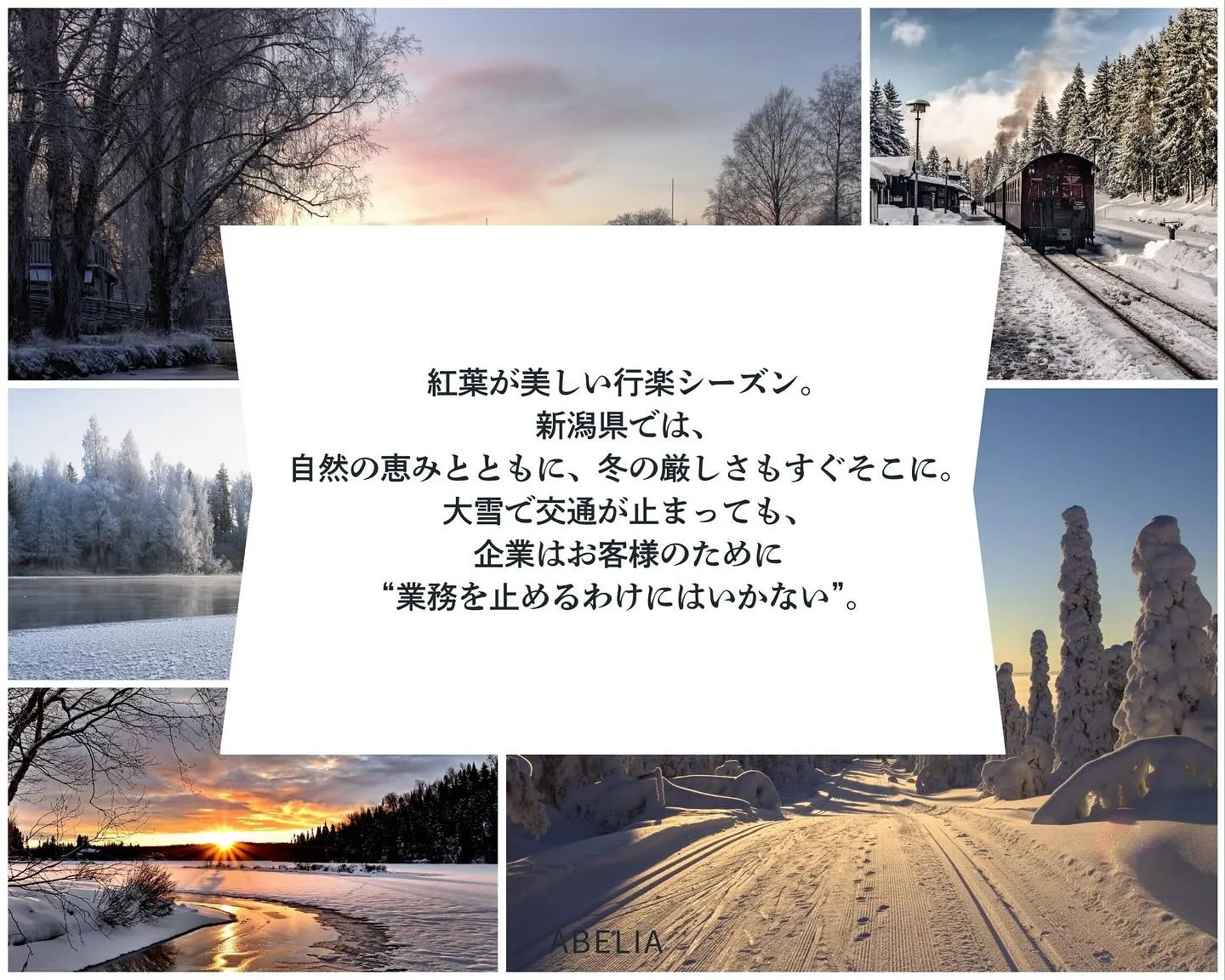 \大雪でも企業は止まれない/
