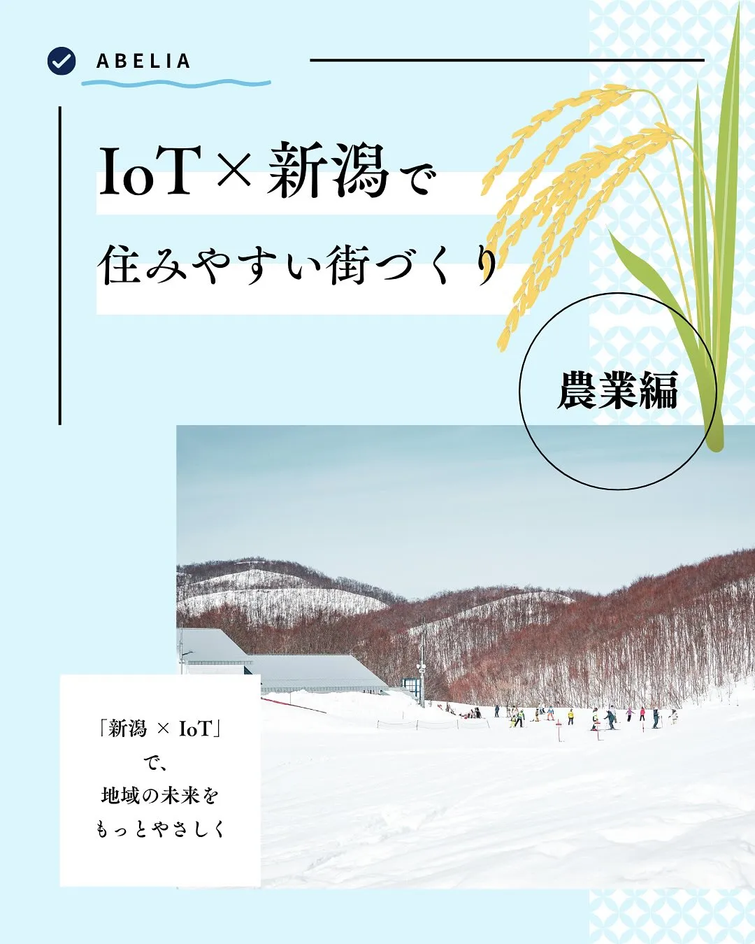 「スマート農業で、新潟の“おいしい”を未来へ」