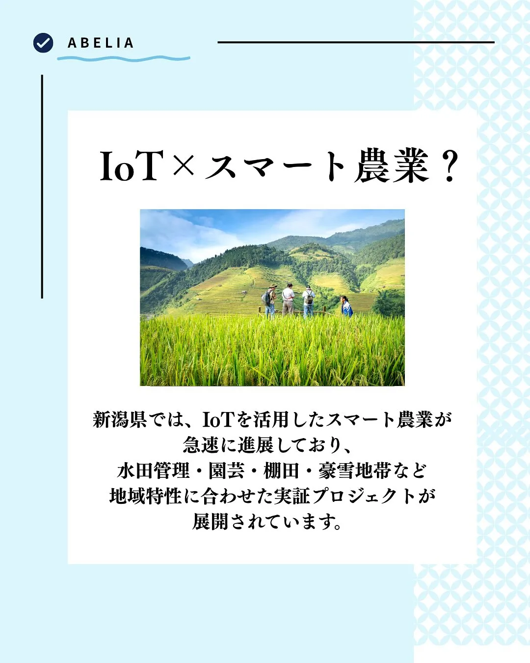 「スマート農業で、新潟の“おいしい”を未来へ」