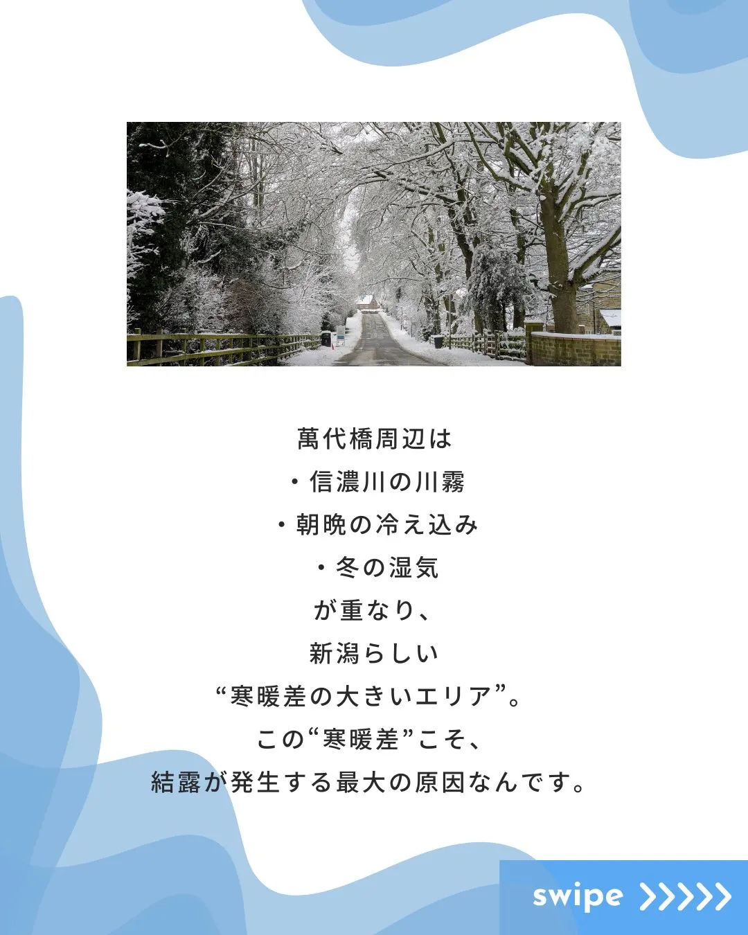 🌉新潟観光 × OA機器🌉