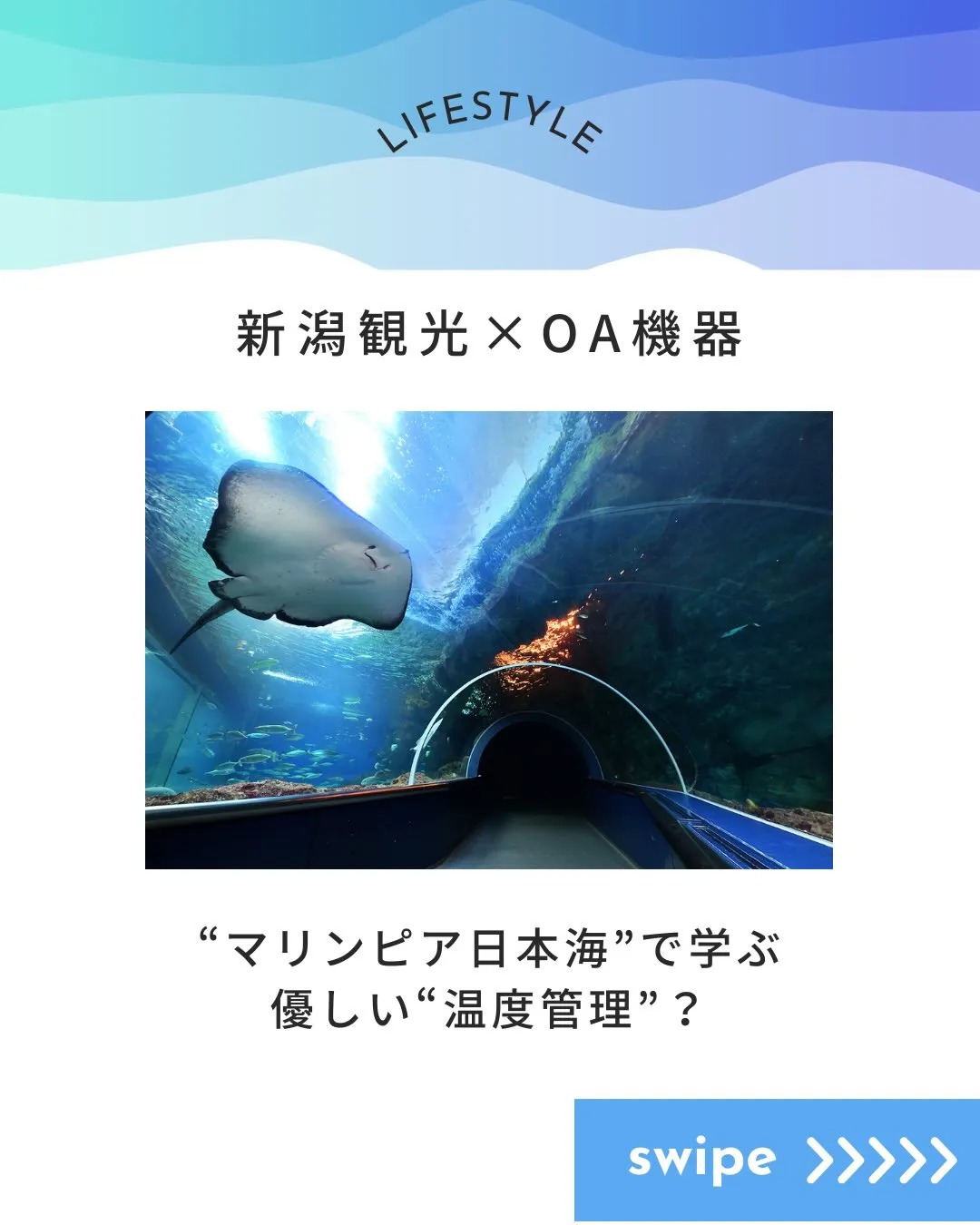 🌊新潟観光 × OA機器🌊 