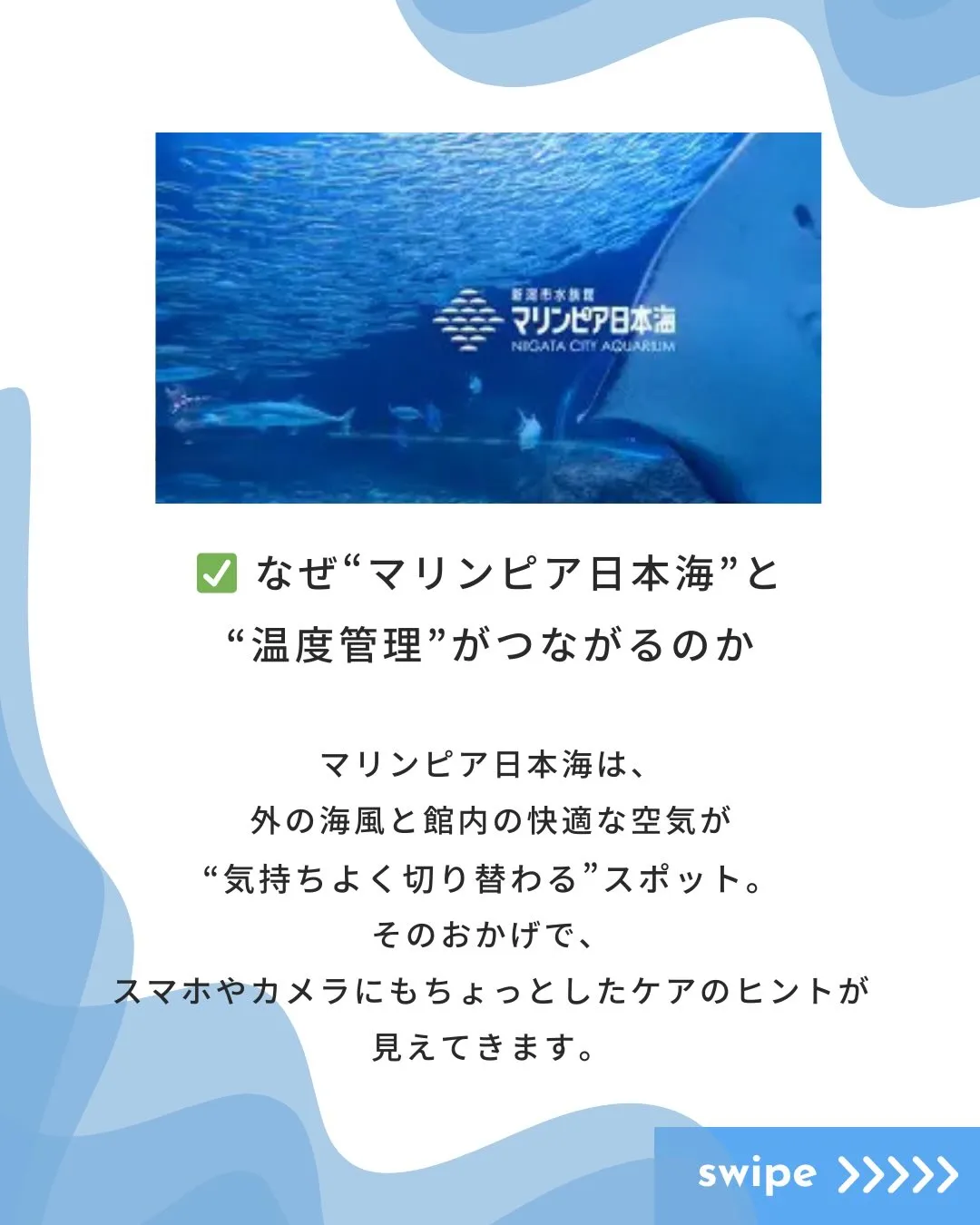 🌊新潟観光 × OA機器🌊