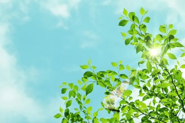 OA機器の環境対応最前線を南魚沼市で実現するための選び方ガイド