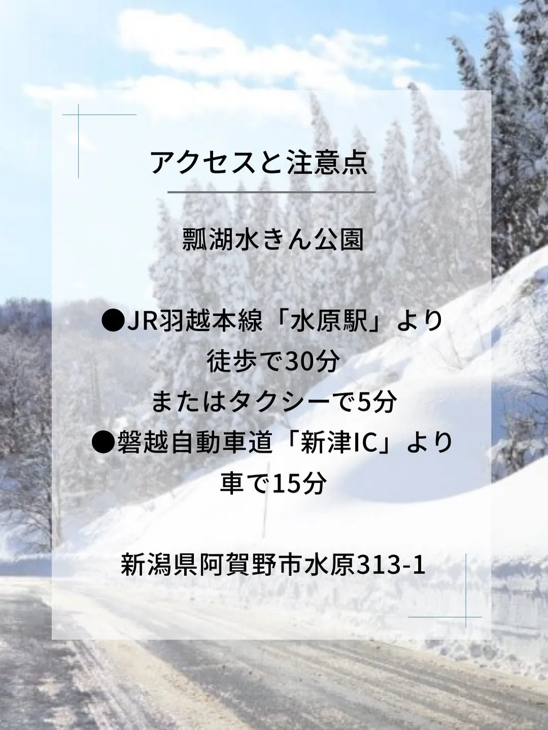 新潟・阿賀野市の瓢湖へ。