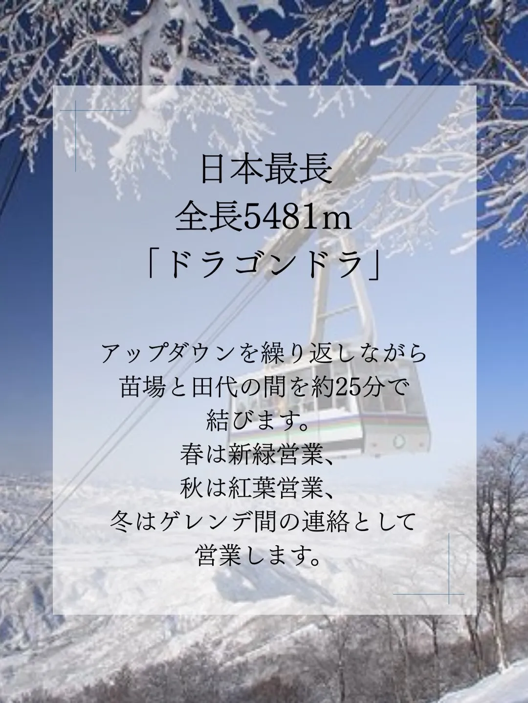 苗場ドラゴンドラ（Naeba Dragondola）とは