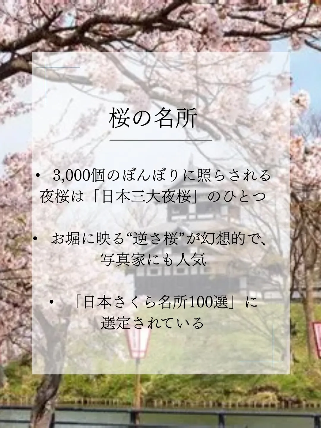 日本三大夜桜として知られる高田城址公園。