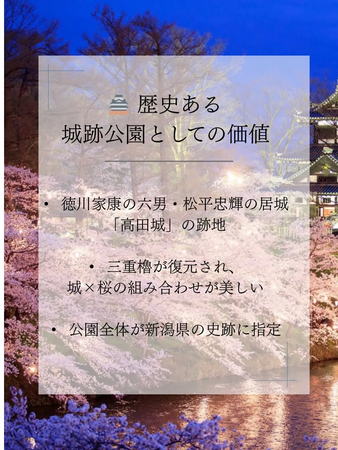 日本三大夜桜として知られる高田城址公園。