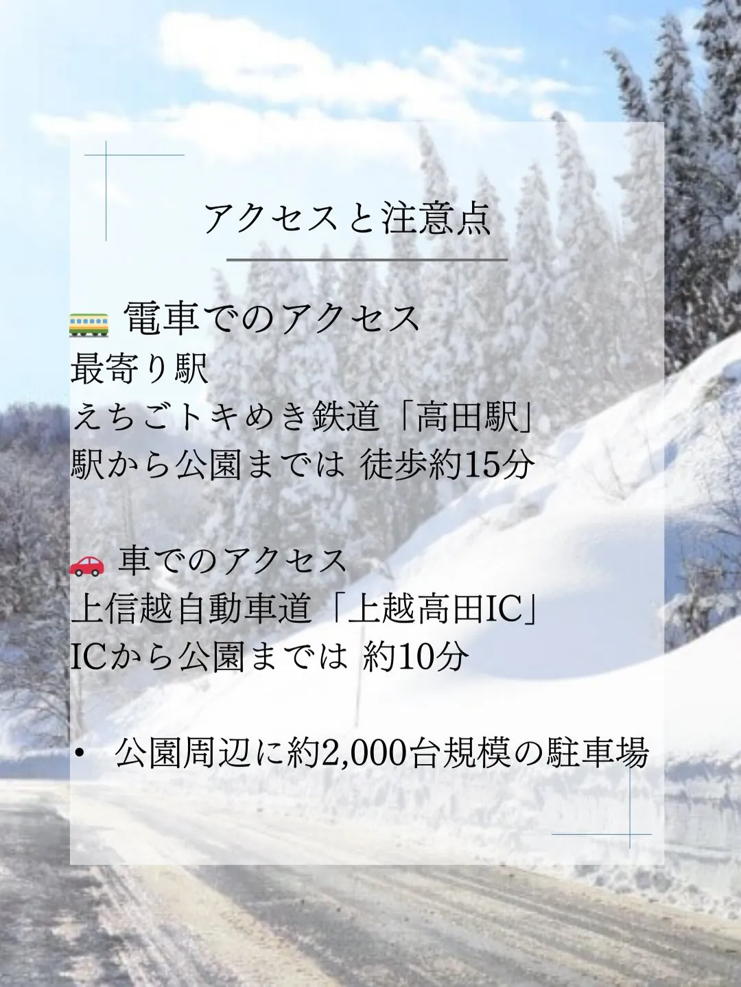日本三大夜桜として知られる高田城址公園。