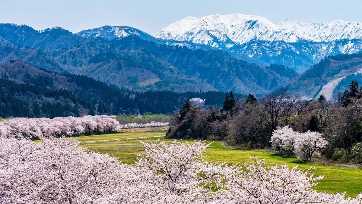 OA機器の大容量導入で実現する新潟県胎内市企業の生産力と働きやすさを徹底解説