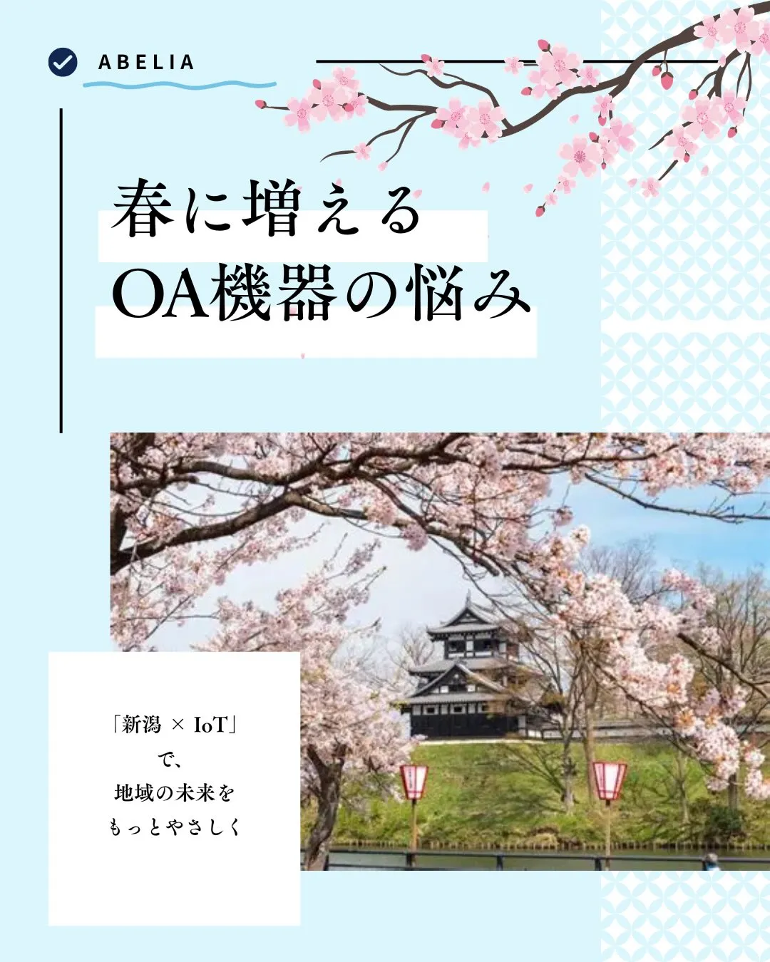 \雪国新潟にも、春の到来🌸/