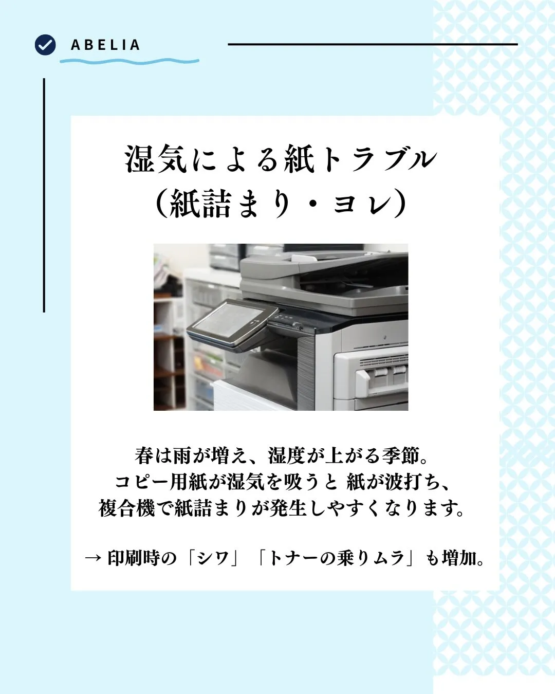 \雪国新潟にも、春の到来🌸/